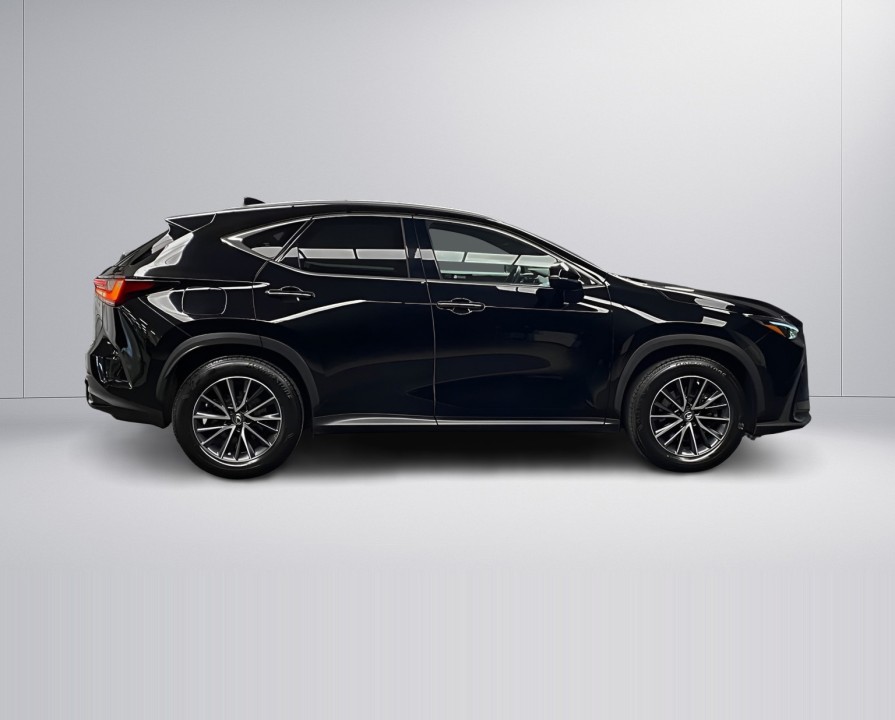 Lexus Seria NX 450h+ AWD Business Plus (3)