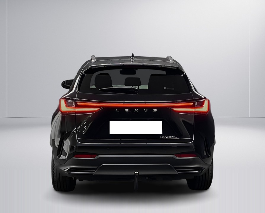 Lexus Seria NX 450h+ AWD Business Plus (5)