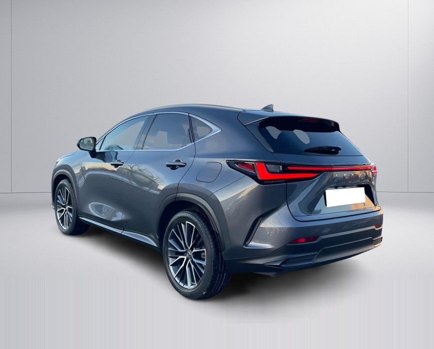 Lexus Seria NX 450h+ AWD Luxury (5)