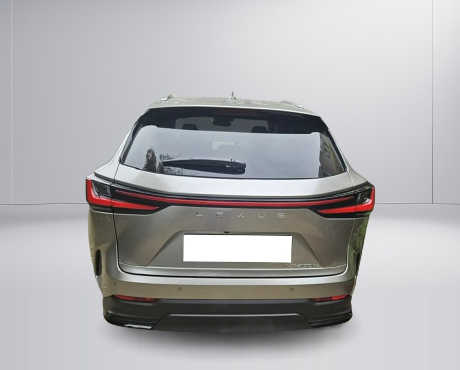 Lexus Seria NX 450h+ Luxury Line (2)