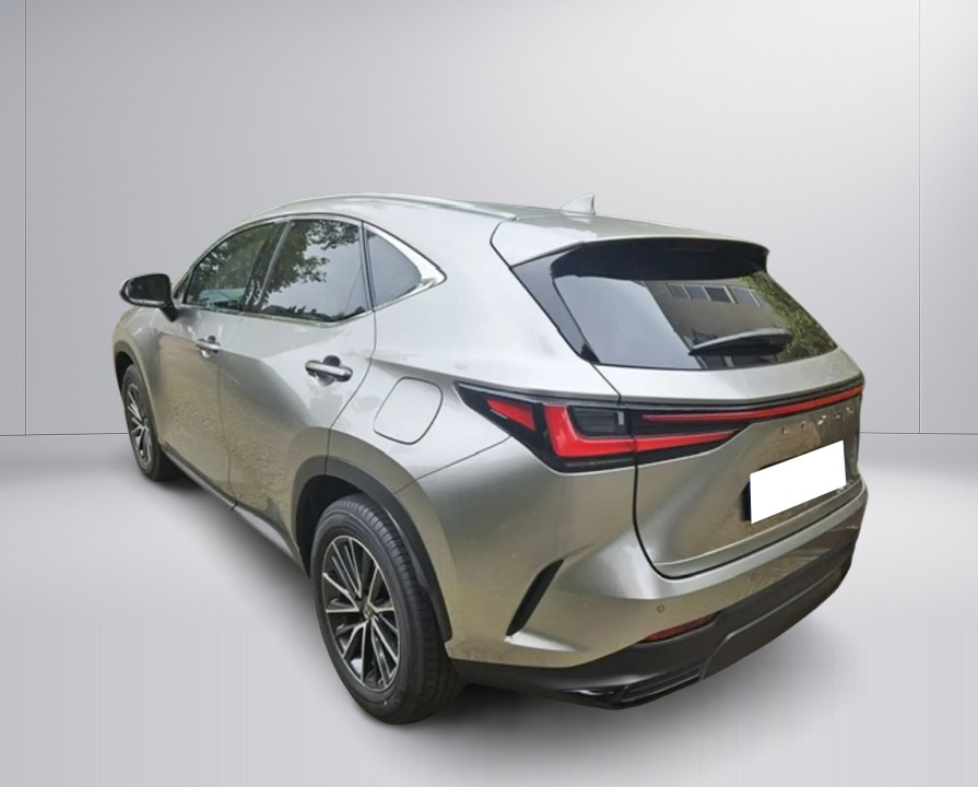 Lexus Seria NX 450h+ Luxury Line (3)