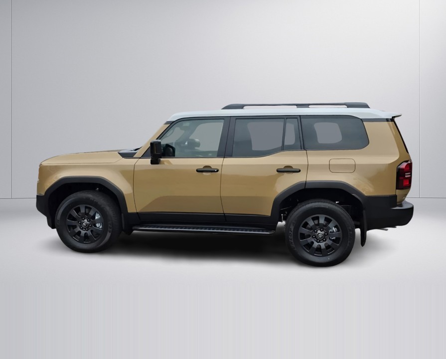 Toyota Land Cruiser (2)