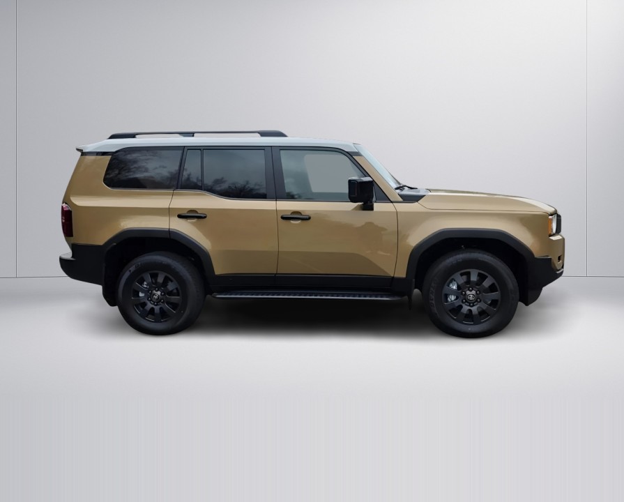 Toyota Land Cruiser (3)