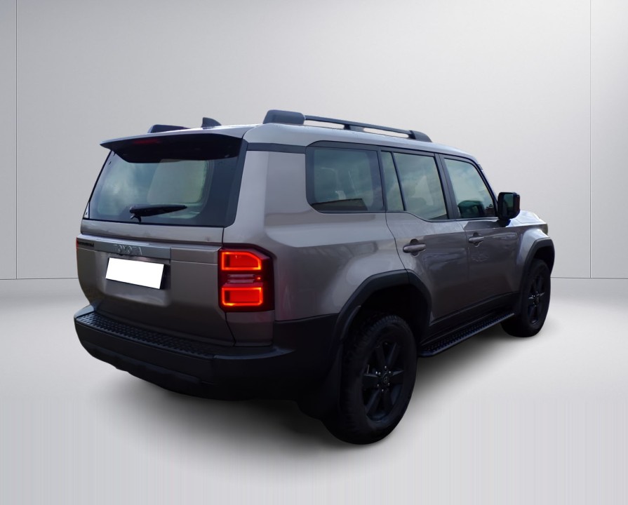 Toyota Land Cruiser (3)