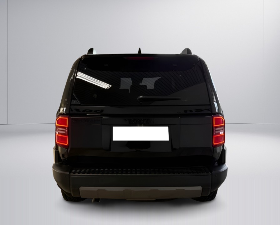 Toyota Land Cruiser (3)