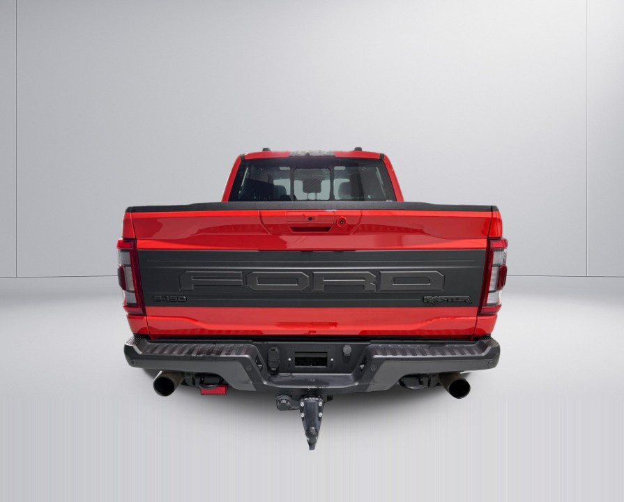 Ford F150 Raptor (4)