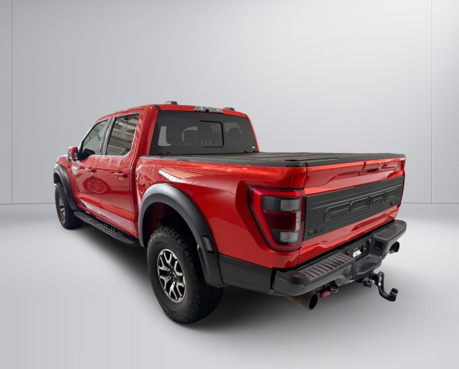 Ford F150 Raptor (5)