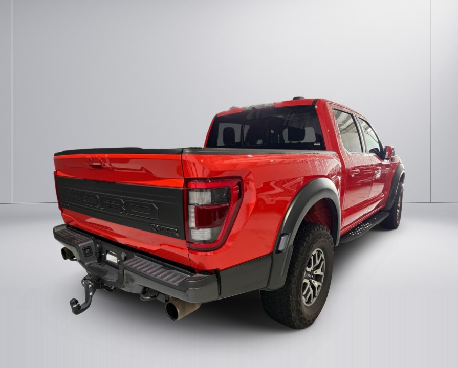 Ford F150 Raptor (3)