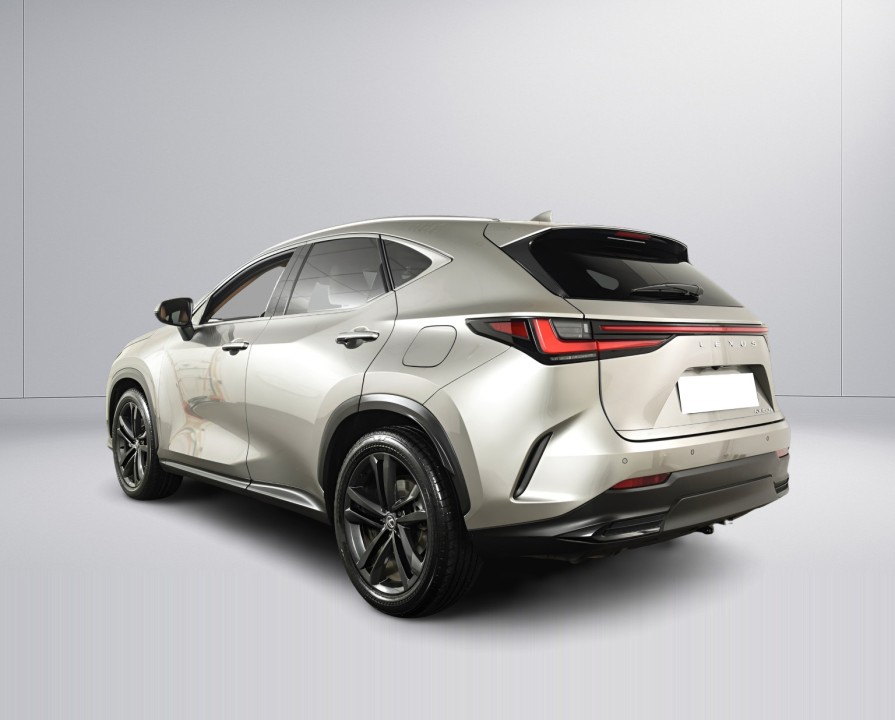 Lexus Seria NX 450h+ Executive (4)