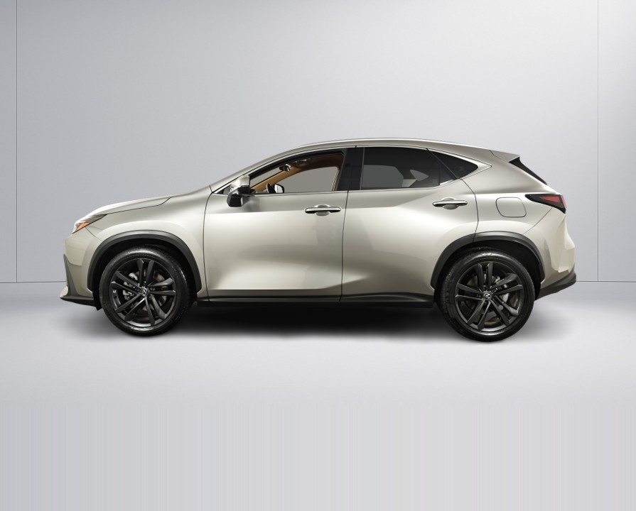 Lexus Seria NX 450h+ Executive (3)