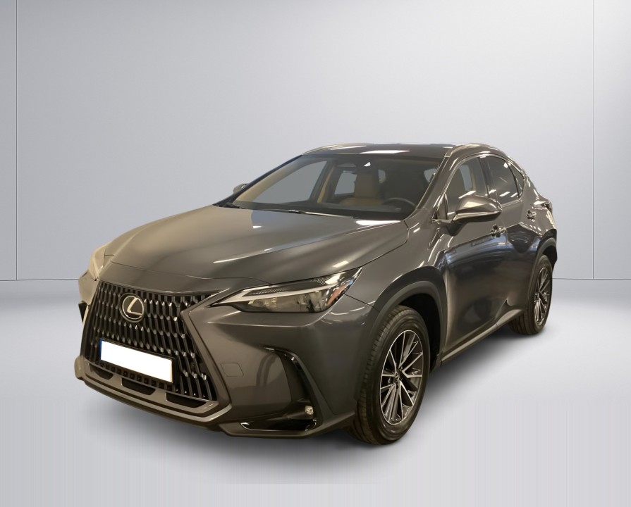 Lexus Seria NX 450h+ Business Plus (4)