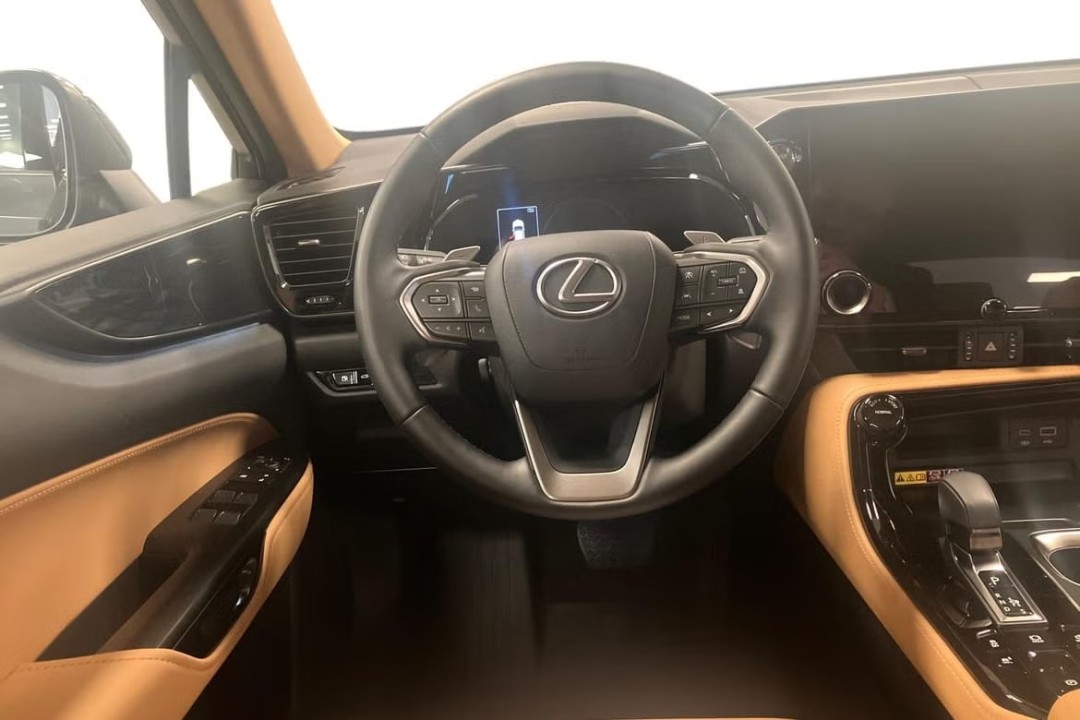 Lexus Seria NX 450h+ Business Plus (5)