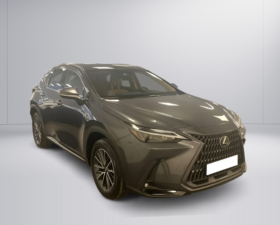 Lexus Seria NX 450h+ Business Plus