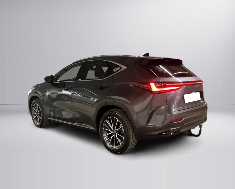 Lexus Seria NX 450h+ Business Plus (3)