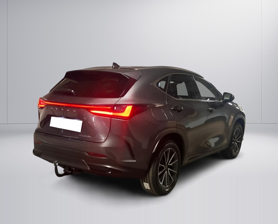 Lexus Seria NX 450h+ Business Plus (2)