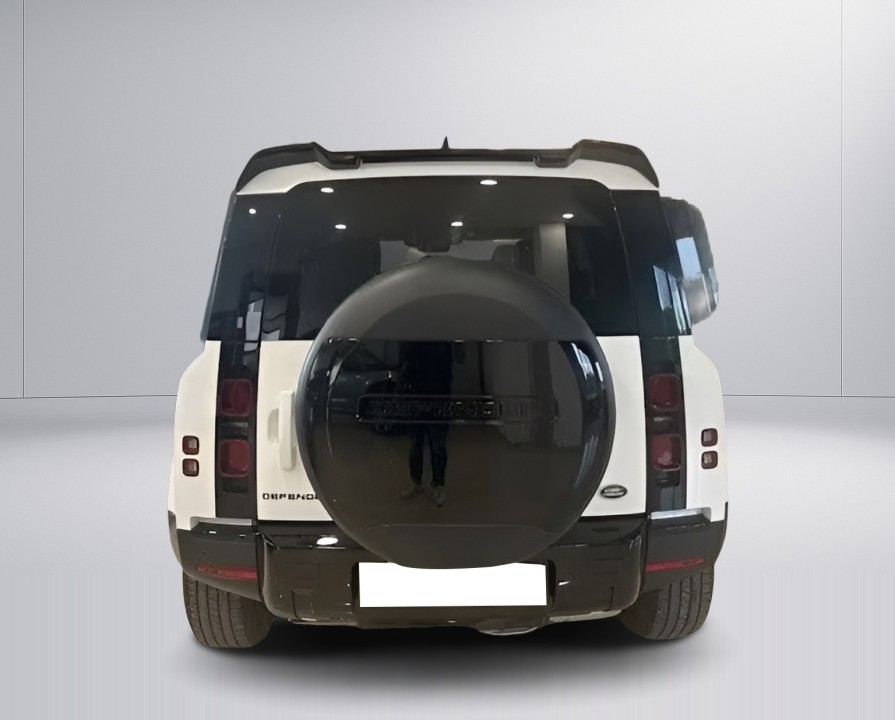 Land Rover Defender 110 D250 (3)