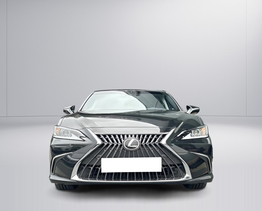 Lexus Seria ES 300h (2)