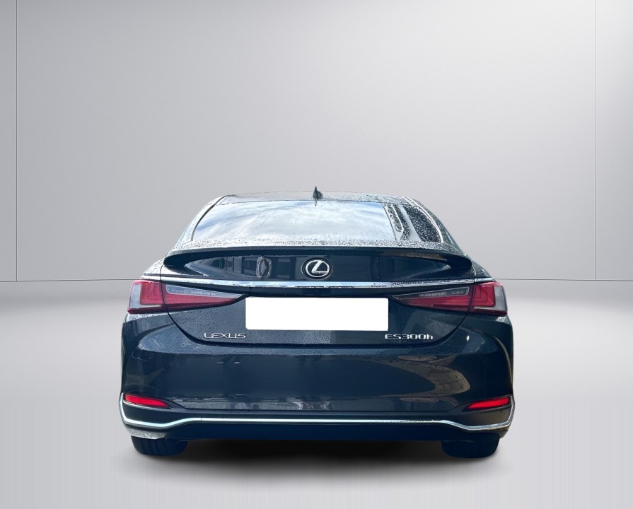 Lexus Seria ES 300h (5)