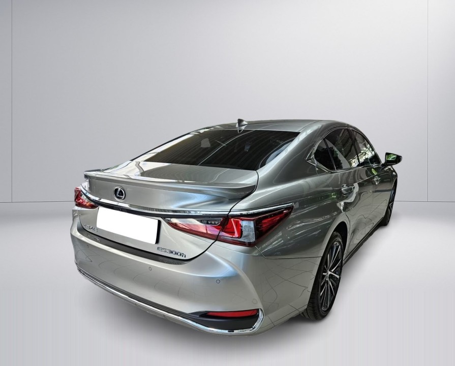 Lexus Seria ES 300h Business Line (2)