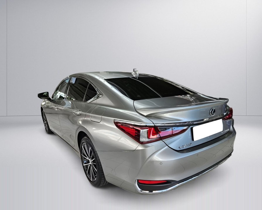 Lexus Seria ES 300h Business Line (3)