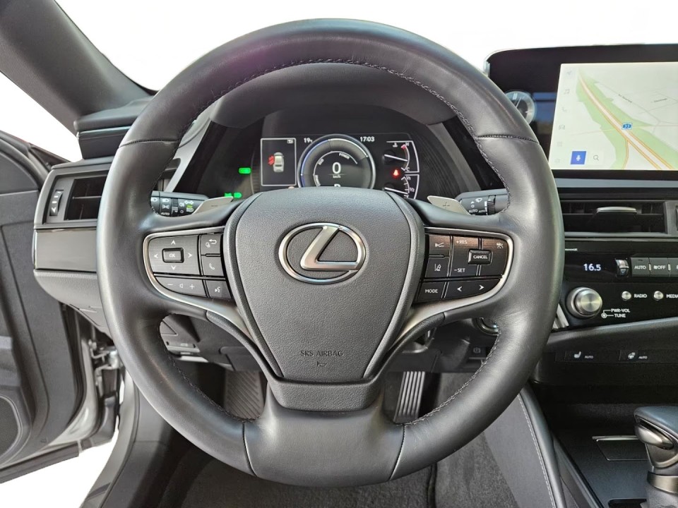 Lexus Seria ES 300h Business Line (5)