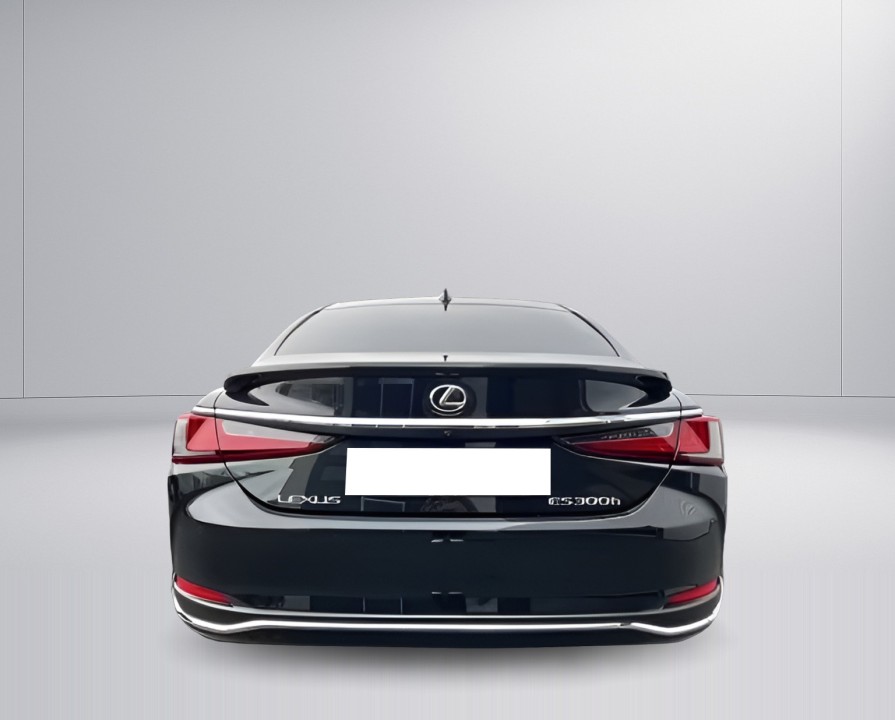 Lexus Seria ES 300h Business Line (4)