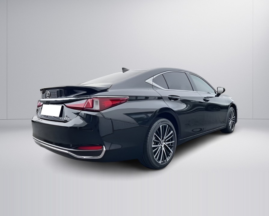 Lexus Seria ES 300h Business Line (3)
