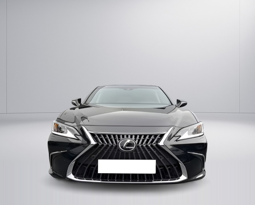 Lexus Seria ES 300h Business Line - foto 9