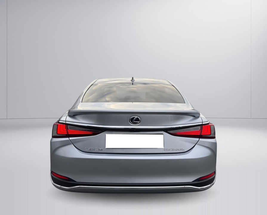 Lexus Seria ES 300h Business Line (4)