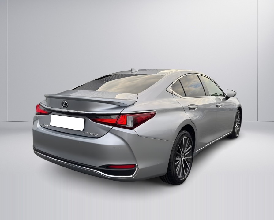Lexus Seria ES 300h Business Line (3)