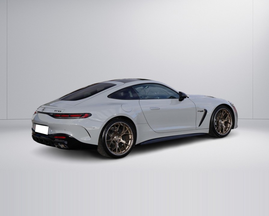 Mercedes-Benz AMG GT 63 4MATIC+ (5)