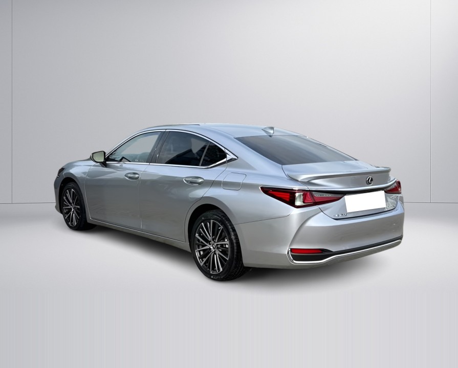 Lexus Seria ES 300h Business Line (5)