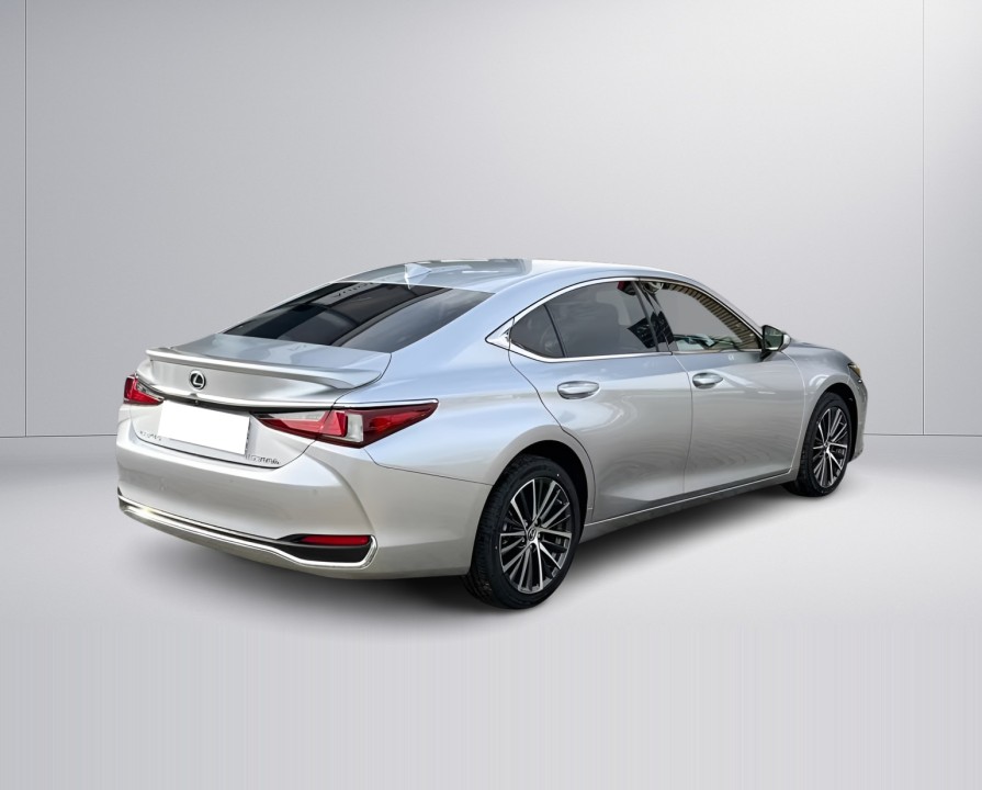 Lexus Seria ES 300h Business Line (3)