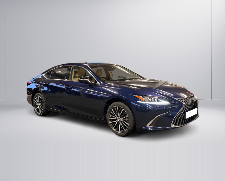 Lexus Seria ES 300h Business Line