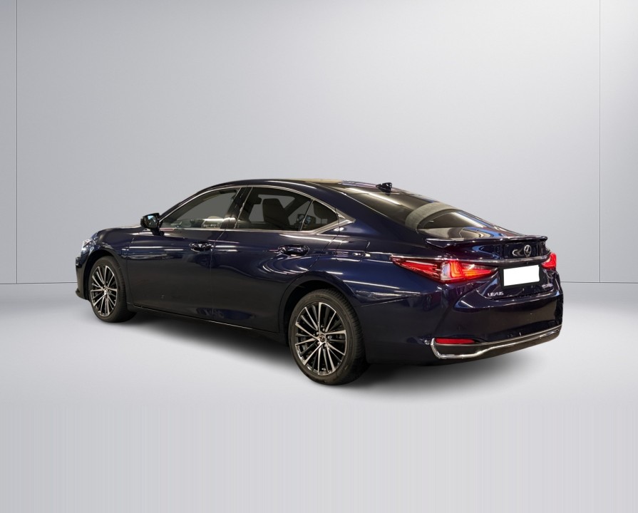 Lexus Seria ES 300h Business Line (5)