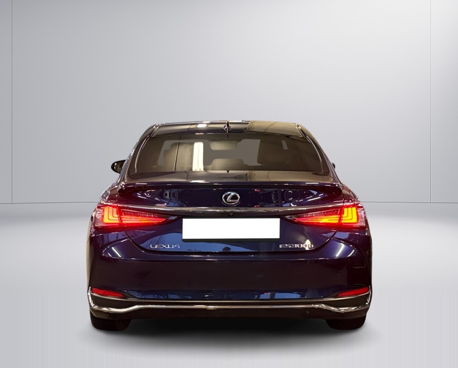 Lexus Seria ES 300h Business Line (4)