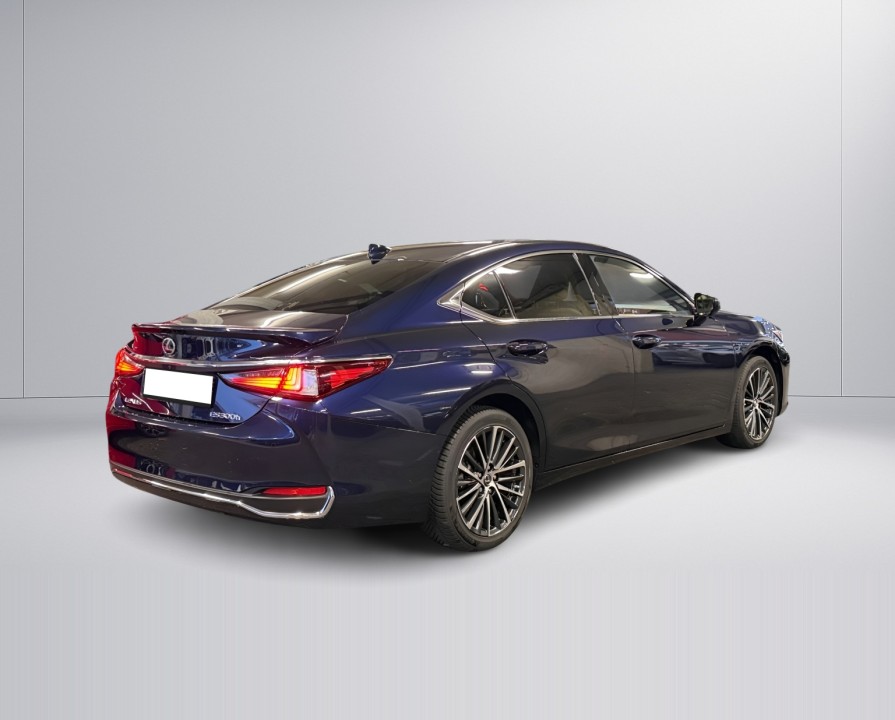 Lexus Seria ES 300h Business Line (3)
