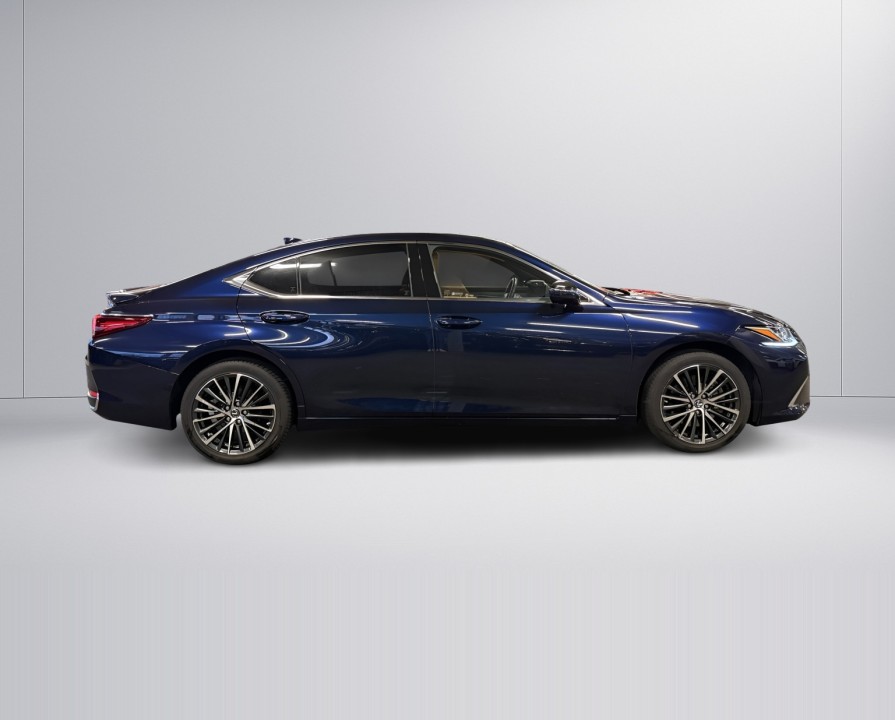 Lexus Seria ES 300h Business Line (2)