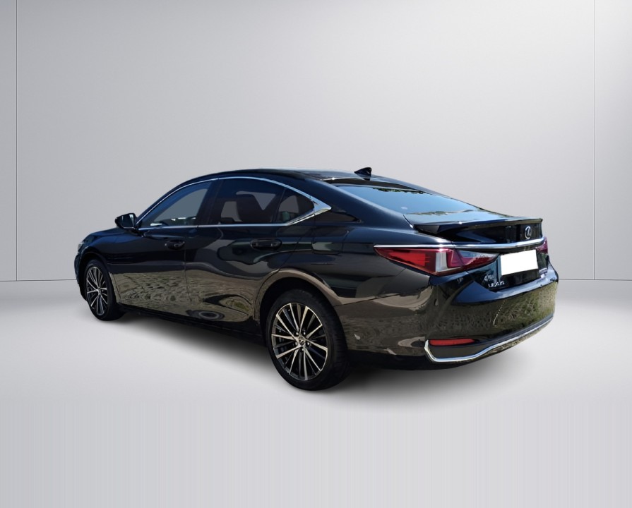 Lexus Seria ES 300h (5)