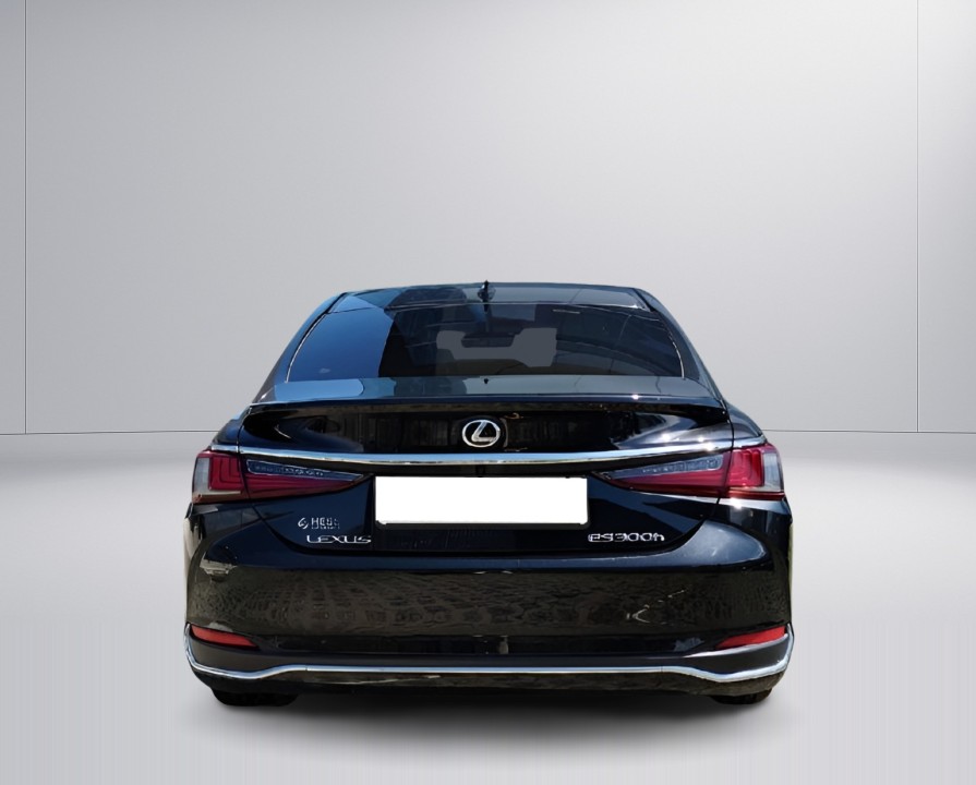 Lexus Seria ES 300h (4)