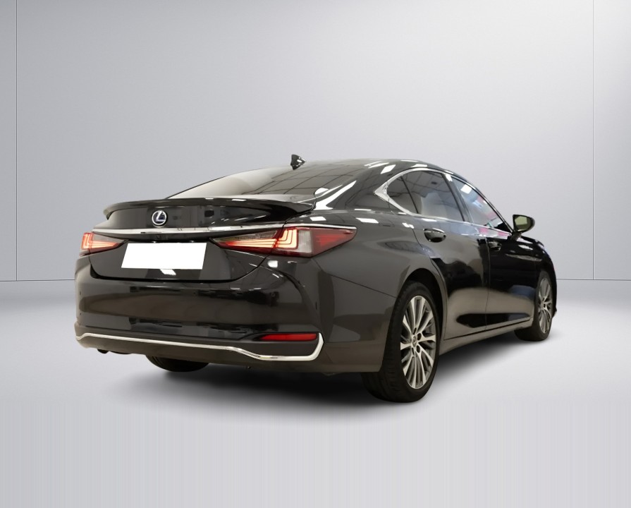 Lexus Seria ES 300h Premium (3)