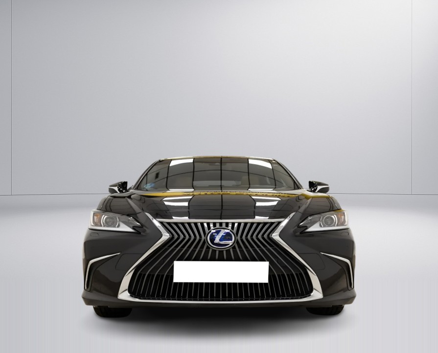 Lexus Seria ES 300h Premium - foto 7