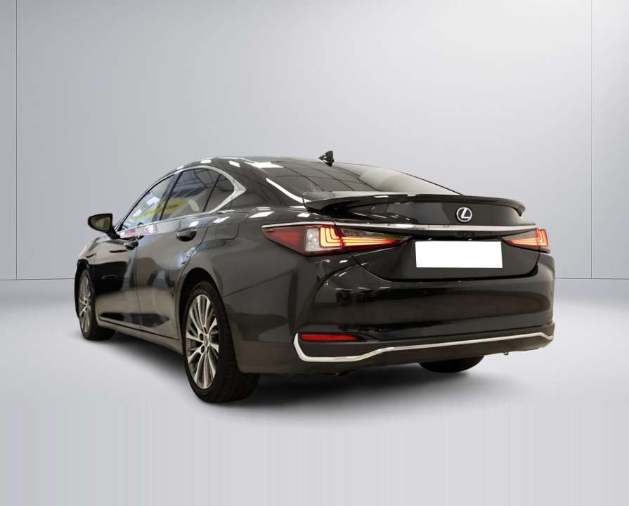 Lexus Seria ES 300h Premium (5)