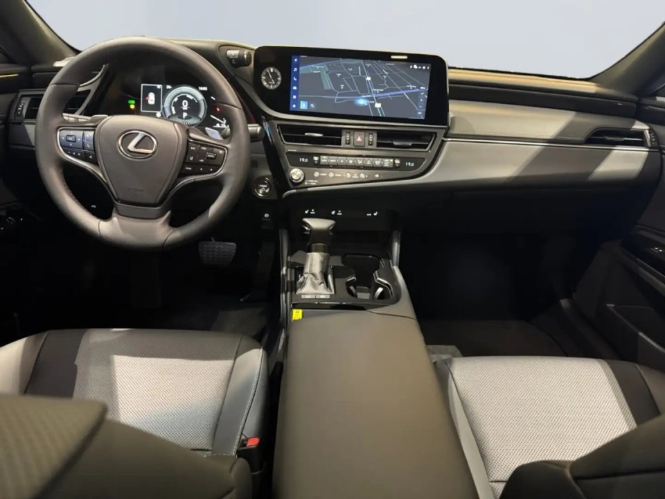 Lexus Seria ES 300h Premium - foto 9