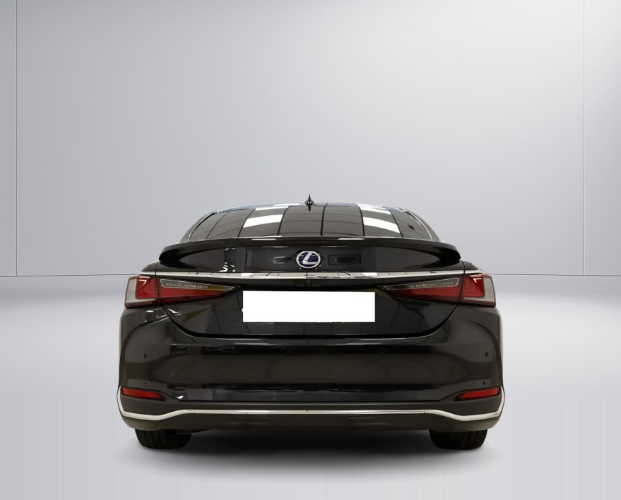 Lexus Seria ES 300h Premium (4)