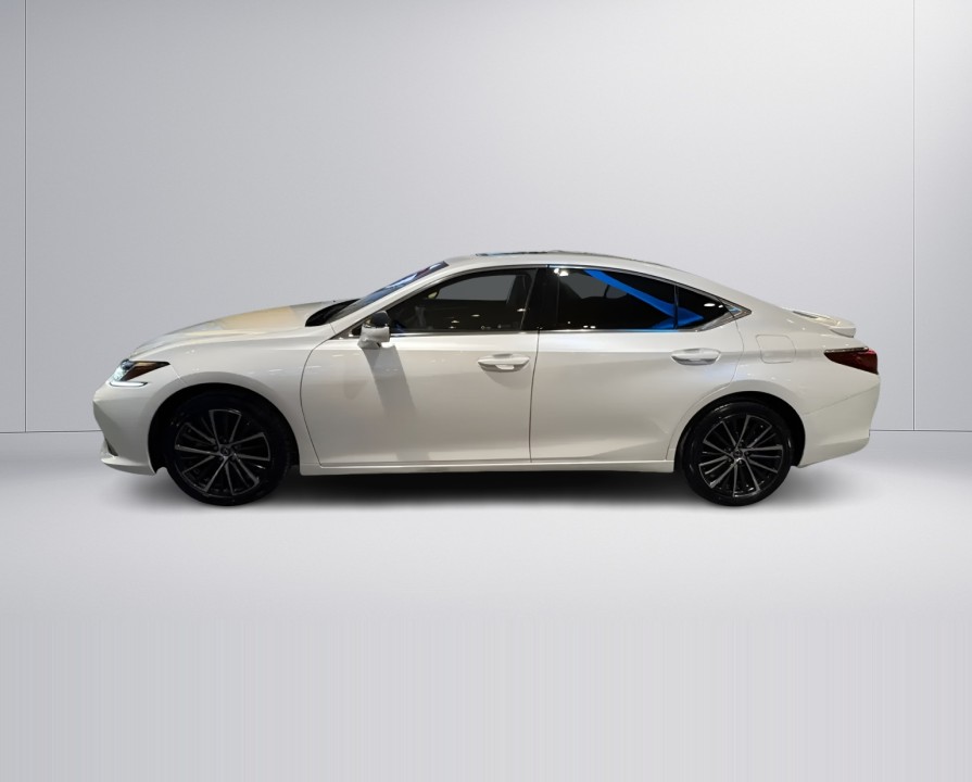 Lexus Seria ES 300h Business Line (5)