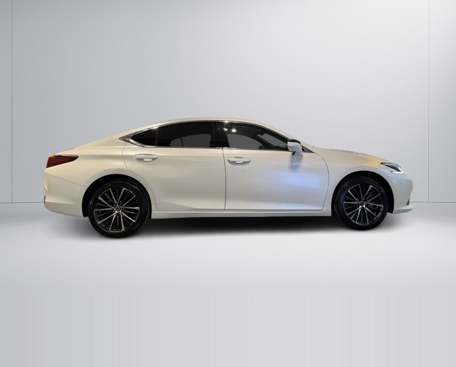 Lexus Seria ES 300h Business Line (2)
