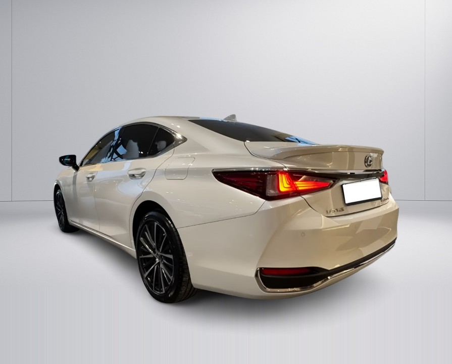 Lexus Seria ES 300h Business Line (4)