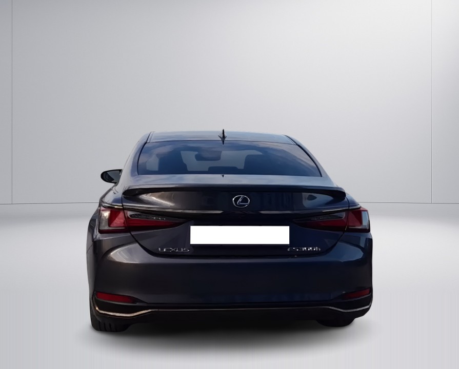 Lexus Seria ES 300h (5)