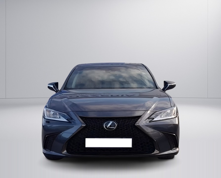 Lexus Seria ES 300h (2)